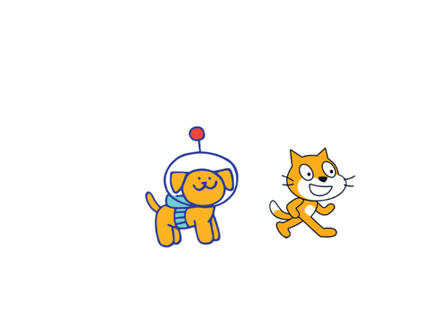 Cat vs. Dog