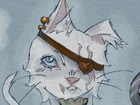 Pirate Cat