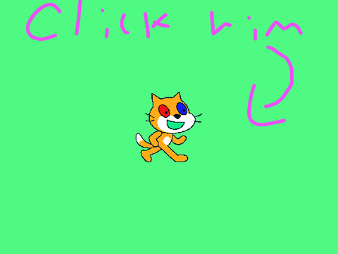 test involving the (LOUD) death of a scratch cat