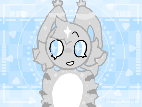 Chipi Chipi Chapa Chapa MEM
