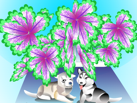 The coral bells 3