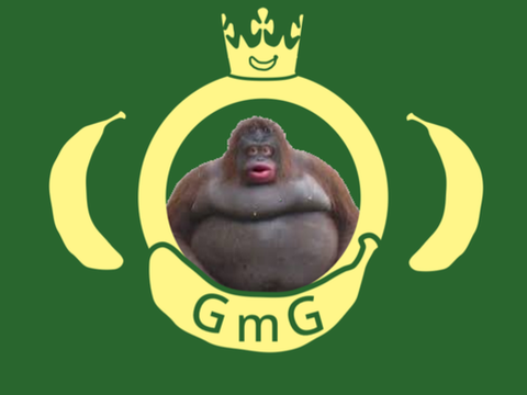 VP for GMG application