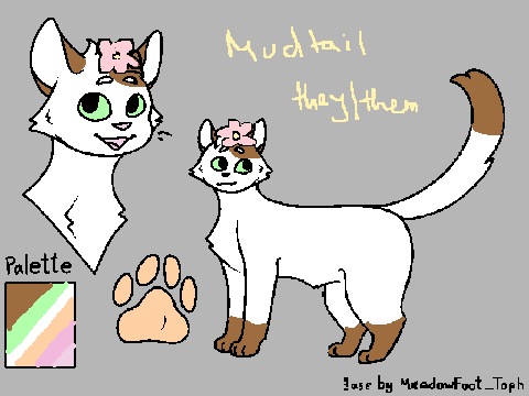 Mudtail ref for makay