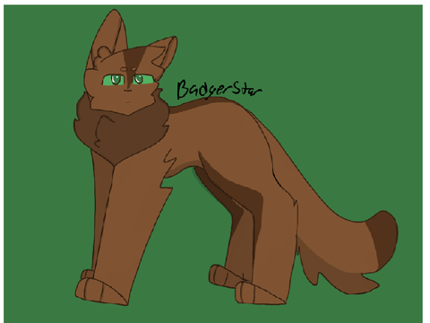 Badger star 