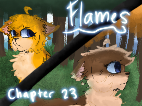 TNE Entry flames 23