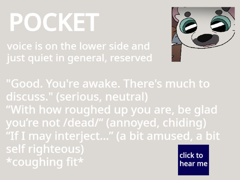 pocket