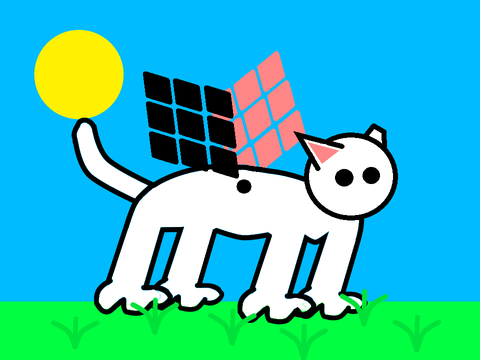 Snowpelt