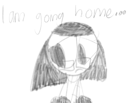 I will go home