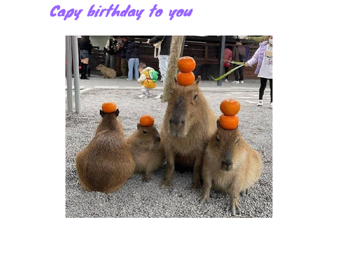 Capy birthday 