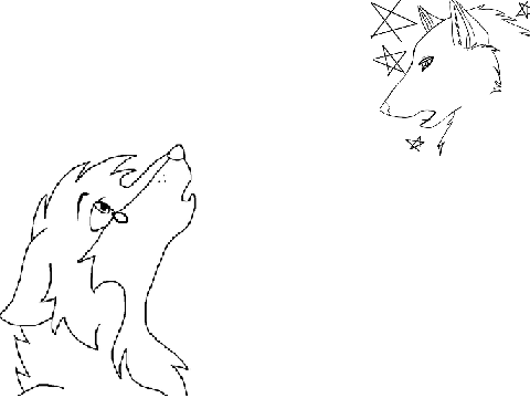 Look up at the Stars CC