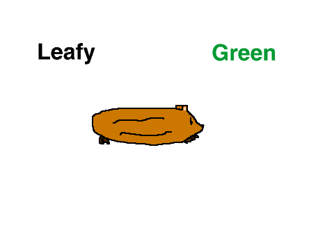 My CC