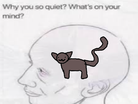 don't ask