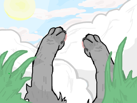 WOLF REACHING FOR THE CLOUDS PARALLAX :>