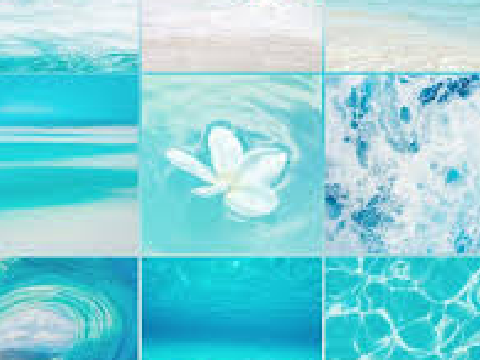 097. ❝ collecting messages from the seas; ❞ ✧ a sonnet application