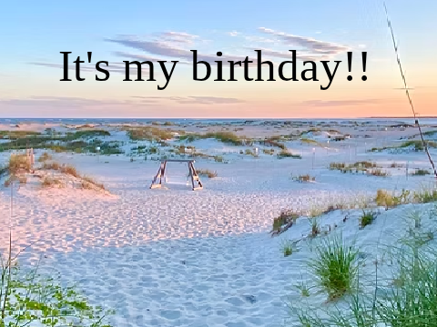 #004 - ITS MY BIRTHDAYYYY