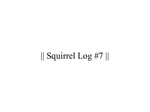 || Squirrel Log #67 (7) ||