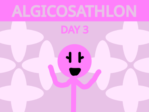 Algicosathlon Day 3