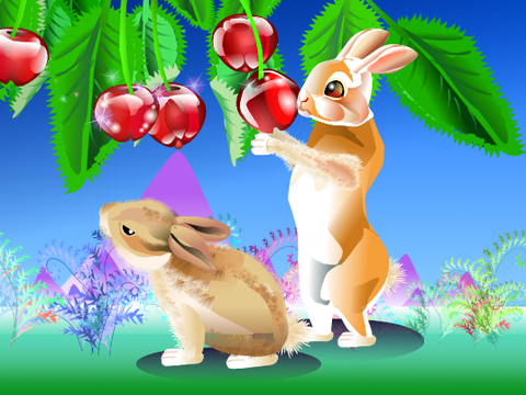 The Bunny