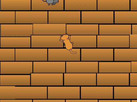 Cat and mouse 