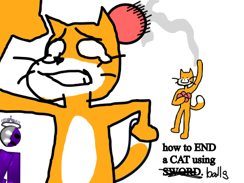 how to end a cat using balls (noli)