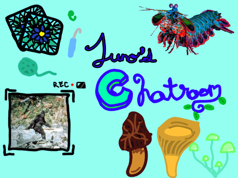 Ⱄ ☾Juno's Chatroom☽ Ⱄ