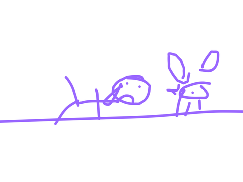 rat on the floor
