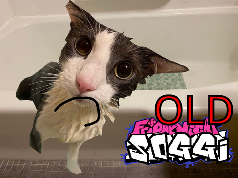 MRIM - Vs soggy cat (old and being remade)