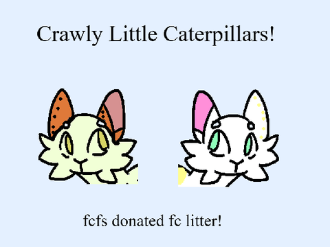 " crawly little caterpillars! " fcfs donated fc litter!