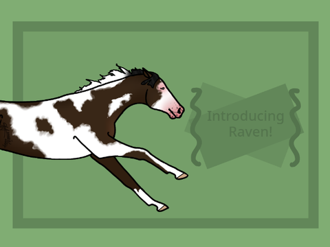 U44 | Introducing Raven!