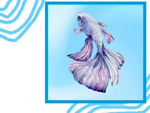 Free Ocean pfps