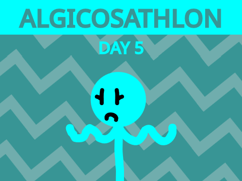 Algicosathlon Day 5