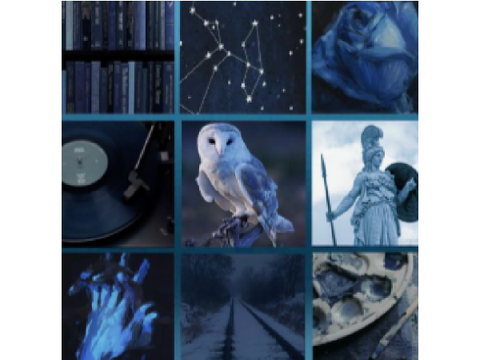 Moodboards for DT w/ @Chiibs!!