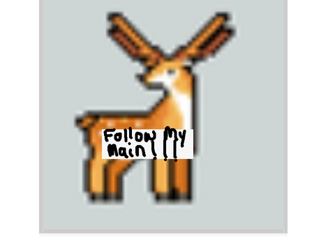 FOLLOW MY MAIN