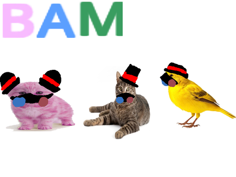 BAM BAM BAMBOOZLERS!
