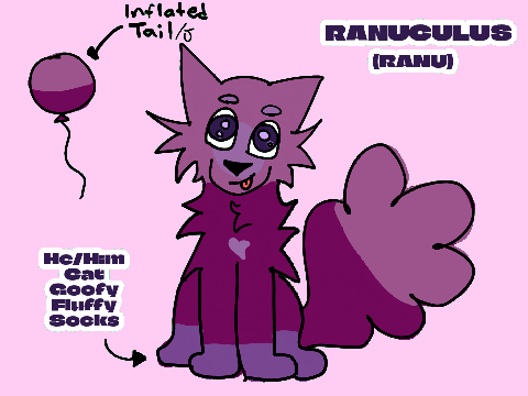 Ranuculus 2026 (main oc)
