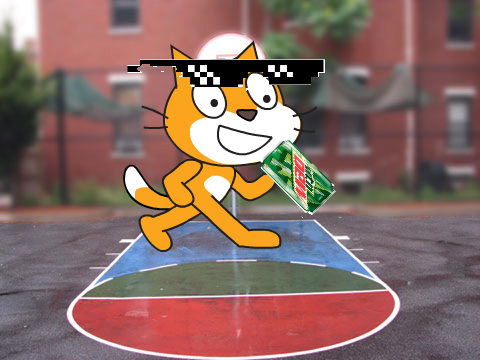 MLG Scratch Cat 
