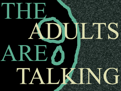The Adults Are Talking unfinished
