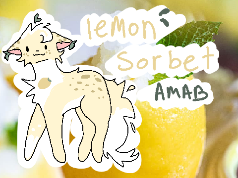 "Sweet and Sour" A Lemon Sorbet Application