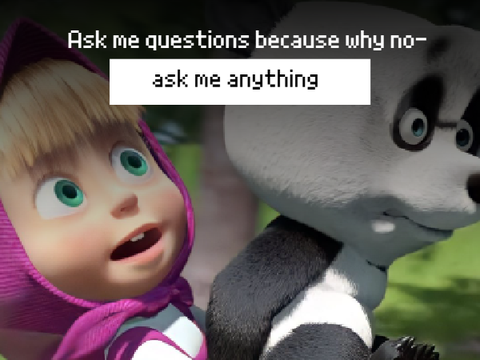 ask me questions because why no-