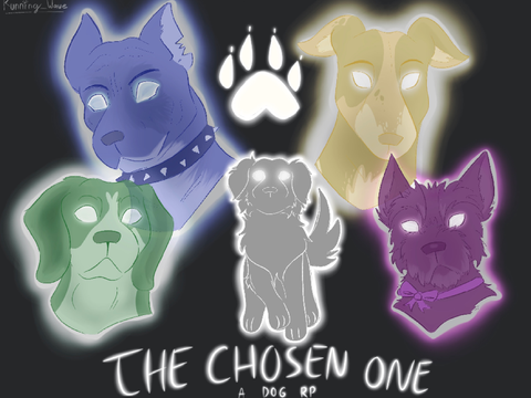 The Chosen One [Spirits and candidates] || ✦