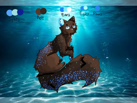 Squid ref