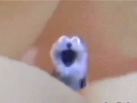 screaming blue thing template remix