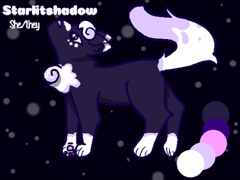 ∗ ࣪ ˖༺ Starlitshadow Ref - 2026 ༻˖ ࣪ ∗