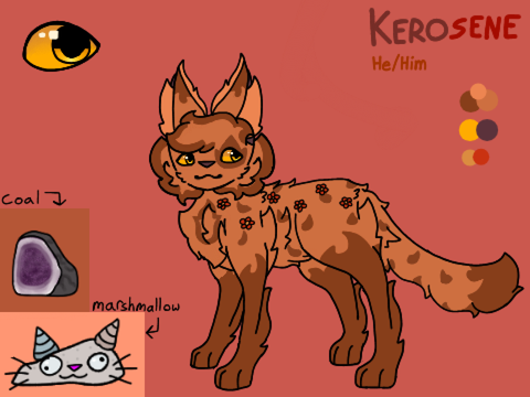 new kerosene ref
