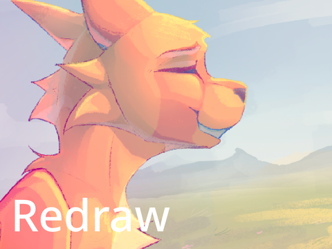 2 year redraw