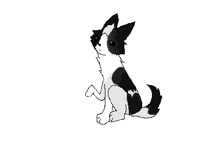 "When Can I See You Again?" A FCFs SoC Border Collie Litter