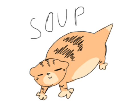 Fat kitten