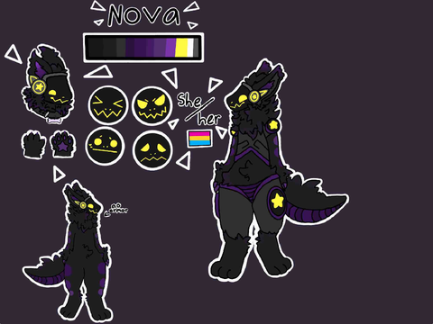 Nova ref sheet 