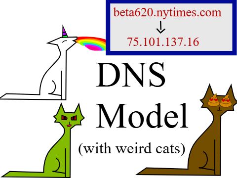 DNS Model
