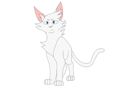 Drawing a cat